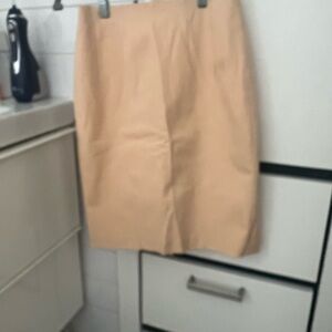 Club Monaco blush pink pencil skirt